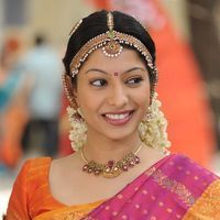 Anuja Iyer - Kadhal to kalyanam stills